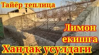 Limon kochat ekish uchun tayyor 2.5 sotixli Teplisa 