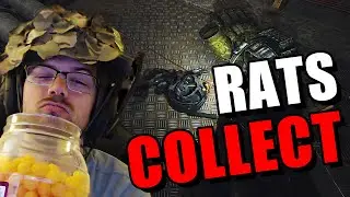 TAXING CHADS IN D2 - Escape from Tarkov