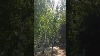 ПРИРОДА.ВОЛГА.УЛЬЯНОВСК.