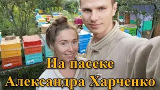 На пасеке Александра Харченко /