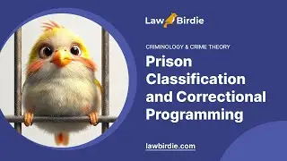 Prison Classification and Correctional Programming - Essay Example
