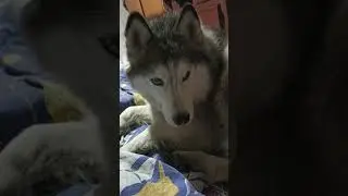 Что за фамильярности?? 