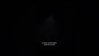 Дельфин - Надежда