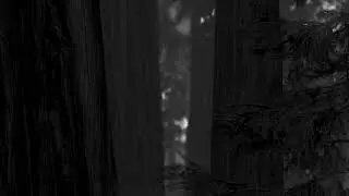 D E C A D E (teaser 1)