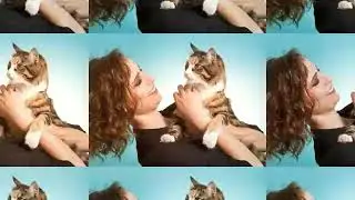 Веселый клип..Hueu "Piano" Smith -Don't You Just Know It