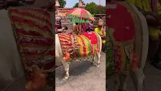 Way to Ujjain mahakal #indoretourism #mahakal #mahakalstatus #mahakaleshwar #mandir
