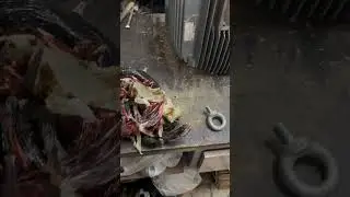 Neden başımıza bunlar geldi