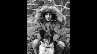 Rockdog Paul Simon 