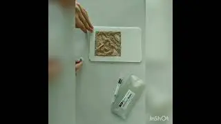 Tretikali doni tarkibidagi gluten miqdorini aniqlash