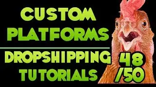 Custom Platforms – [Free DropShipping Video Tutorials # 48/50]