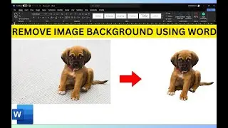 How to Remove Image Background Using Microsoft Word