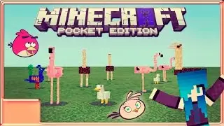 Pájaros Mod Minecraft PE 0.13.0