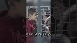 Рынок бача работорговля в Афганистане #афган #торговля