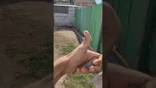 20 августа 2024 г.