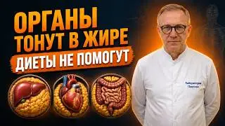 How to Remove Visceral Fat After 50 | 3 Myths and 2 Foods | Fatty Liver, Hidden Insulin