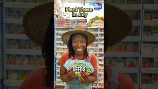Seeds to Start for Fall Harvest