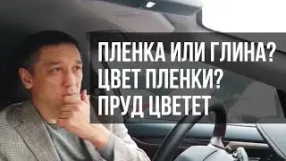 Ответы на вопросы. Пруд пленка или глина? Какой цвет пленки выбрать?  Пруд цветет
