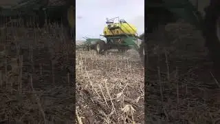 Посев яровой пшеницы по кукурузе 🌾