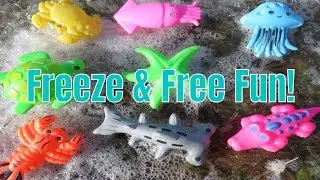 Freeze & Unfreeze Ocean Toys!