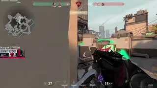 zombs chill dude