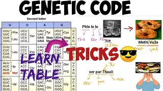 Genetic code || Tricks || tricks to learn genetic code table😎🤩