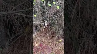 Нет плохо ,есть тоже плохо .🤔🧐
