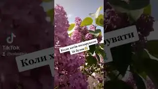 Коли хотів подарувати їй бузок 💐.