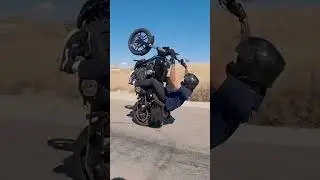 Harleys!!! Rippin around town