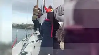 Polat Enerji Kadın Yelken Takımı