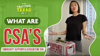 What Are CSA's?