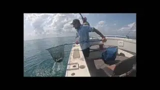7 Spirit Bay - short