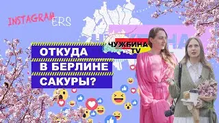 Берлин цветёт: самые инстаграмные места