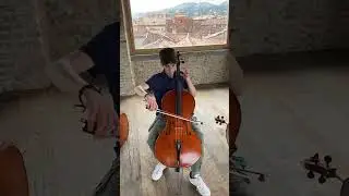 Sound sample 3 Violoncello Stelio Rossi, Siena 1983