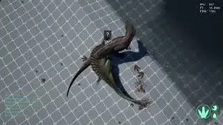 The isle Asura Deathmatch Part 3