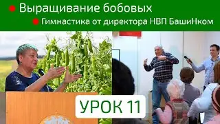 Выращивание бобовых культур | Гимнастика от директора НВП БашИнком