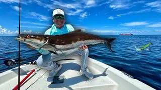 Catching PRIZED Giants Under Cargo Ships! Fish of a Life Time…