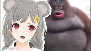 Yuuka Reacts To Unusual Memes pt.2 (English VTuber)