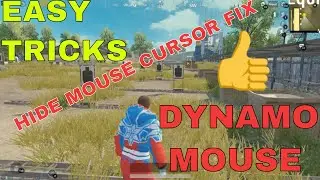HOW TO HIDE MOUSE CURSOR LIKE DYNAMO | ALPHA