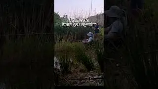 cefamı çok yoksa sefamı yoruma lütfen #avrupa #fishing #doğa #türkiye