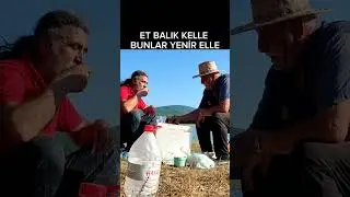 celal emmiye ekmek yedirdim balıkları ben yedim 😂😂 #avrupa #fishing #türkiye #balık