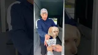 He sold poor dog to stranger 🐶👻 