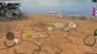 fun Wild animals online from milka/Приколы Дикие животные онлайн от Милки