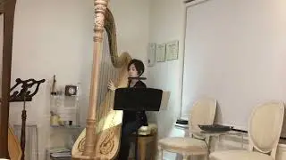 Tempoe Entertainment DJs Hee Jin Harpist  Chanson de Mai by Hasselmans