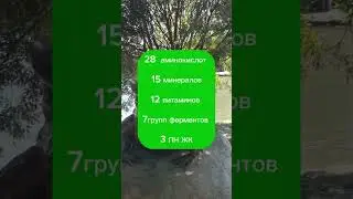 из чего состоит клетка человека#shortsvideo #shorts_ #shortsyoutube