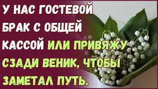 У нас гостевой брак с общей кассой или привяжу сзади веник, чтобы заметал путь.