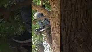ishaq ho to ayesa
