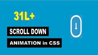 How To Make Scroll Down Animation CSS || Scroll Down Animation HTML || Scroll Down Animation Website