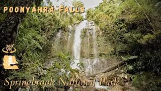 Poonyahra Falls, Springbrook National Park - 360°/VR Immersive Experience