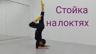Стойка на локтях. Как делать стойку на предплечьях. Пошаговая инструкция