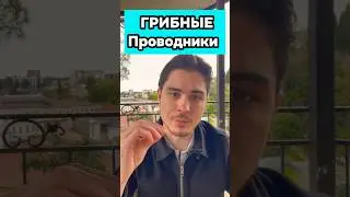 ПРОВОДНИКИ МЕЖДУ МИРАМИ